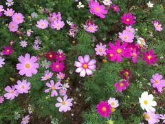 -人民公园(罗湖区)