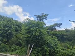 -万达影城IMAX(海口日月广场店)