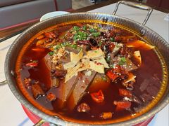 -新侨小馆(东直门北小街店)