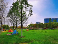 -天鹅湖体育公园