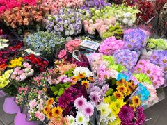 -宝鸡东道花鸟鱼虫市场(吉利花园商场店)