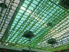 -燕北云山·农家菜·灶台鱼(密云溪翁庄店)