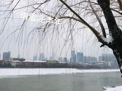 -月湖风景区