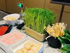 -海底捞火锅(吾悦广场店)