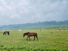 -新疆那拉提国家旅游度假区