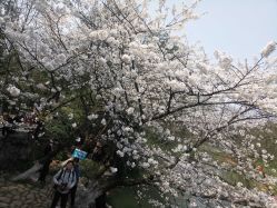 -苑苑vbeauty科技美容SPA
