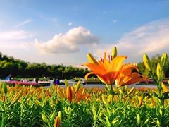 -长春公园(普阳街道)