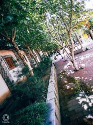 -塔元庄景区