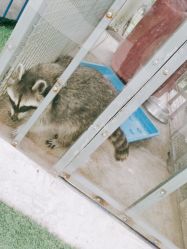 -萌宠亲子动物乐园(槐房万达店)