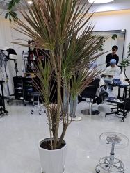 -V7 HAIR SALON