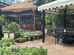 -山菌美食苑(振兴路店)