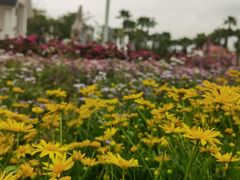 -厦门园林博览苑