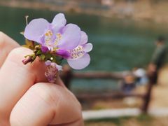 -梅岭月亮湾山体公园