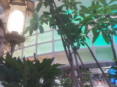 -桂满陇·蟹黄小笼汤包(清河万象店)