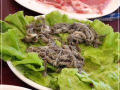 -立鑫火锅城(东港龙城三期优仕名苑店)