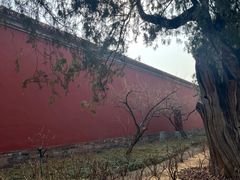 -北京市劳动人民文化宫(太庙)