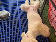 -MOJO密室逃脱(中街旗舰店)