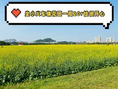 -光明小镇欢乐田园