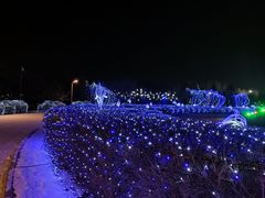 -长春世界雕塑园冰雪艺术天地