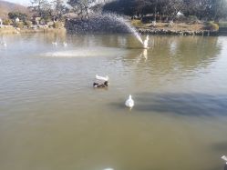 -玄武湖景区-情侣园游乐场