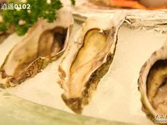 453453-亮马河饭店翠雅咖啡厅