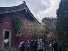 -钱王祠