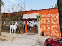 -向外鱼乐·土菜·虹鳟鱼