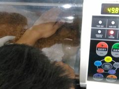 -伟伟宠物医院·CT影像中心·瑞派犬猫综合性门诊(汉口总院)