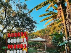 -桃源山庄·水蜜桃采摘·柴火鸡·烧烤团建(龙泉山店)