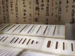 -长沙简牍博物馆