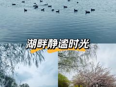 -丁香湖公园