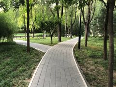 -北极寺公园