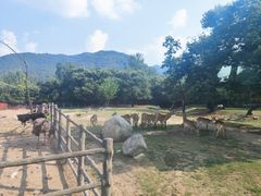 -西安秦岭野生动物园
