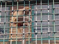 -南京金牛湖风景区