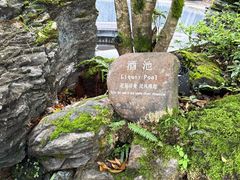 -腾冲和顺柏联酒店