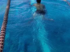 -青鱼湾水上乐园