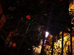 -青岛天主教堂(市南区)