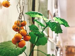 -花二家·生活馆(六运小区店)