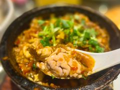 -新蜀会四川豆花(五羊店)