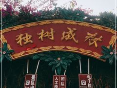 -瑞丽独树成林风景区