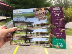 -黄海国家森林公园