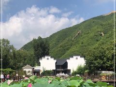 -荷塘味道(水长城店)