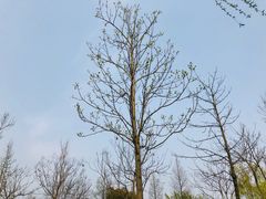 -尚贤河湿地