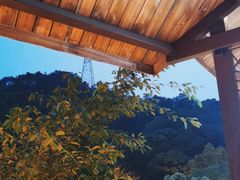 -巴倒烫陆派重庆火锅(南山店)