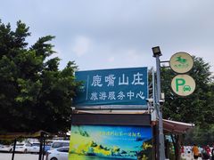 -杨梅坑