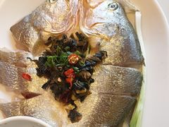 -苏大嘴蒸汽海鲜·海胆蒸饺(中山广场店)