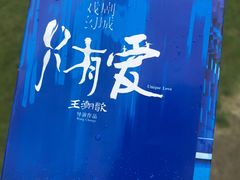-荷兰花海