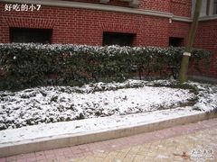-上海市位育初级中学