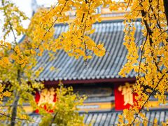-西园戒幢律寺