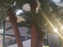 -清真餐厅·回乡麦客
